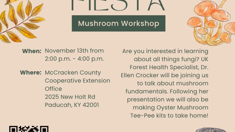 Flyer for Mushroom workshop November 2025